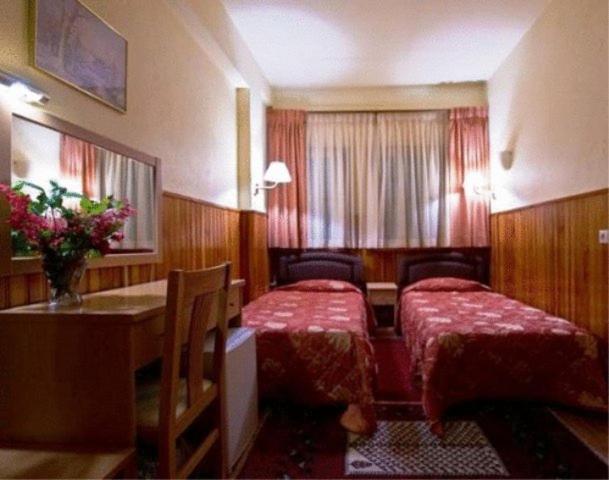 Hotel Bitouni Metsovo Quarto foto