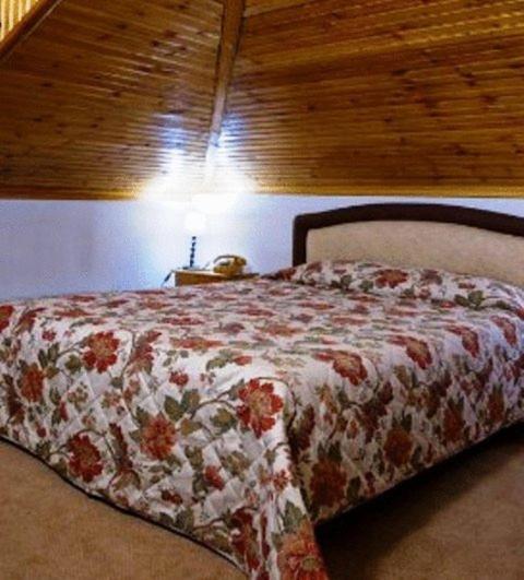 Hotel Bitouni Metsovo Quarto foto